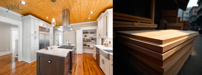 best plywood in India